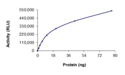 Sino Biological&nbsp;Recombinant Human RET Protein (V804M, G810S, GST Tag), Active
